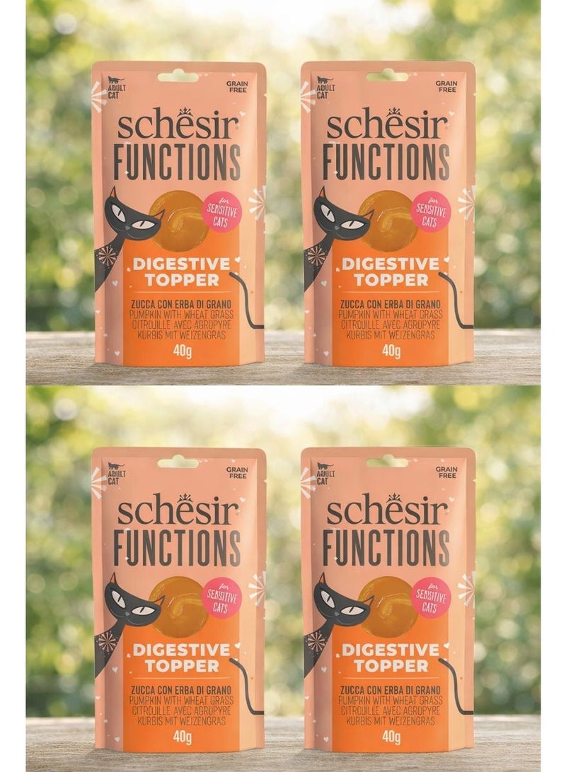 شيسر شيزر (Schesir) "فانكشنز" فاتح شهية لدعم الهضم للقطط الحساسة – اليقطين مع عشب القمح – مكمل غذائي سائل خالي من الحبوب – 40 جم (عبوة من 4 قطع) - Image 1